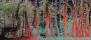 Starry Tree Line